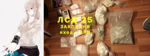 гашик Михайловск