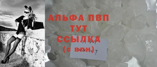 гашик Михайловск