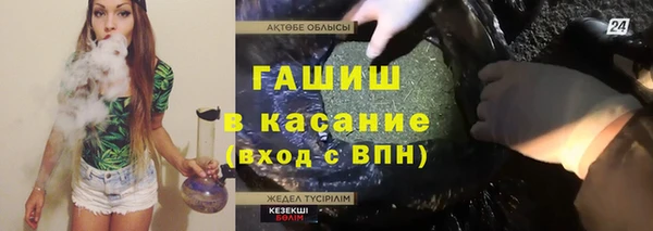 гашик Михайловск