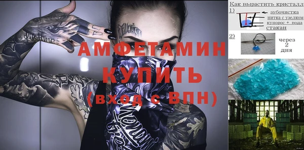 гашик Михайловск