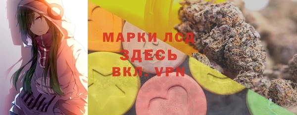 гашик Михайловск