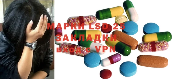 гашик Михайловск